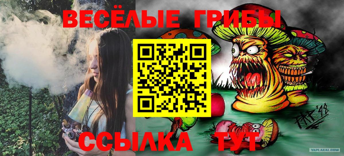 Псилоцибиновые грибы Psilocybe  Вход с VPN  Вязьма 
